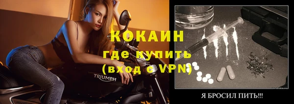 сатива Богданович