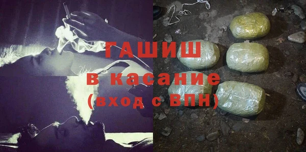 сатива Богданович
