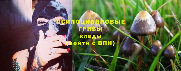 сатива Богданович